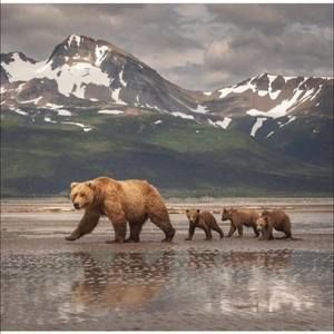 Meet your Posher, Connie